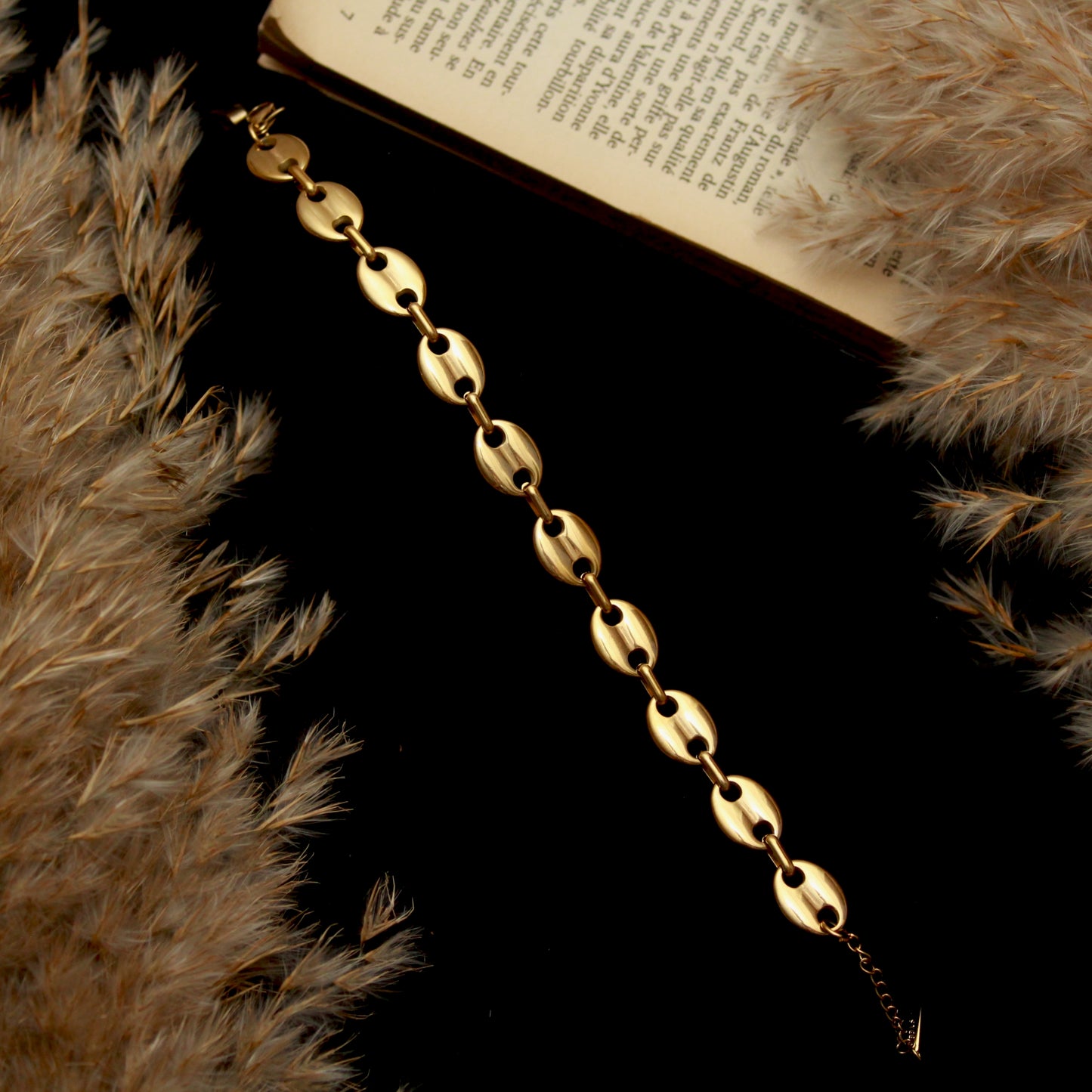 أنسيال حبات القهوة